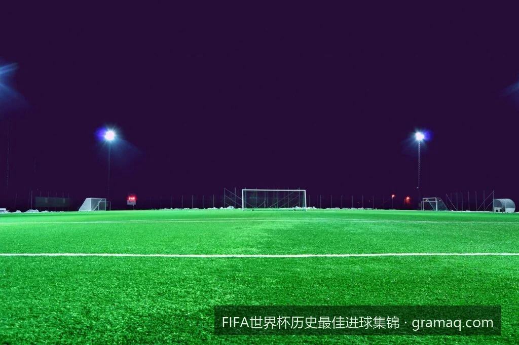 历届世界杯十佳任意球与天外飞仙：谁是殿堂级的落叶球大师？